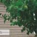 Сайдинг Ю-Пласт TIMBERBLOCK Пихта (Тимберблок) Cахалинская купить в Усолье-Сибирском