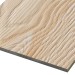 Фиброцементные панели FCSPRO Decor Wood Лиственница купить в Усолье-Сибирском