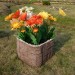 Цветник КАНЬОН купить в Усолье-Сибирском