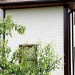 Фасадная панель Grand Line Сланец молочный купить в Усолье-Сибирском